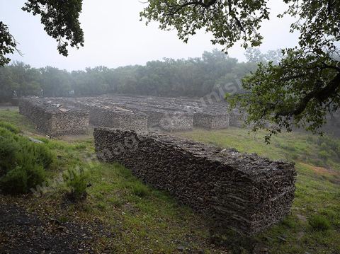 Stock de liège dans les forêts de chênes lièges dans les monts de Kroumirie près de Aïn Draham