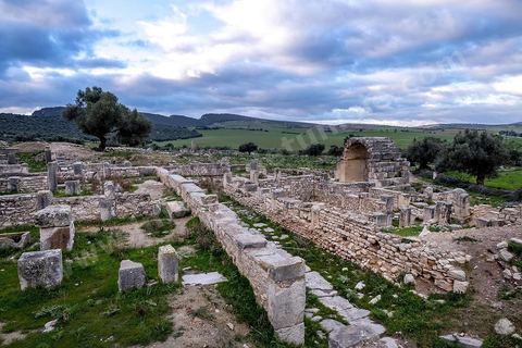 Quartier des villas romaines sur le Site archéologique romain et byzantin de Aïn Tounga, anciennement Thignica, se situe à une vingtaine de km de Dougga. il est un des nombreux exemples de grands sites archéologiques en Tunisie qui ne bénéficie d'aucune protection, au milieu d'un village ce site n'est ni cloturé, ni gardé et donc menancé de dégradations et de disparition. 
