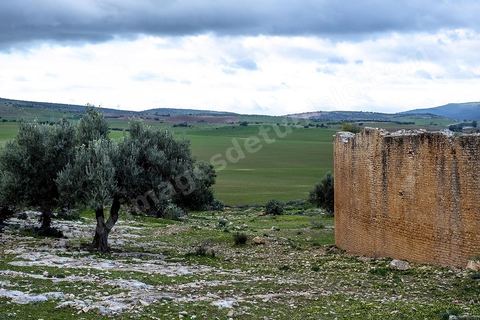 Site archéologique romain et byzantin de Aïn Tounga, anciennement Thignica, se situe à une vingtaine de km de Dougga. il est un des nombreux exemples de grands sites archéologiques en Tunisie qui ne bénéficie d'aucune protection, au milieu d'un village ce site n'est ni cloturé, ni gardé et donc menancé de dégradations et de disparition. 