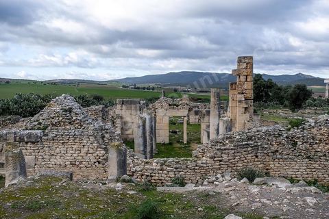 Site archéologique romain et byzantin de Aïn Tounga, anciennement Thignica, se situe à une vingtaine de km de Dougga. il est un des nombreux exemples de grands sites archéologiques en Tunisie qui ne bénéficie d'aucune protection, au milieu d'un village ce site n'est ni cloturé, ni gardé et donc menancé de dégradations et de disparition. 