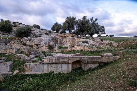 Site archéologique romain et byzantin de Aïn Tounga, anciennement Thignica, se situe à une vingtaine de km de Dougga. il est un des nombreux exemples de grands sites archéologiques en Tunisie qui ne bénéficie d'aucune protection, au milieu d'un village ce site n'est ni cloturé, ni gardé et donc menancé de dégradations et de disparition. 