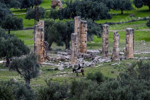 Site archéologique romain et byzantin de Aïn Tounga, anciennement Thignica, se situe à une vingtaine de km de Dougga. il est un des nombreux exemples de grands sites archéologiques en Tunisie qui ne bénéficie d'aucune protection, au milieu d'un village ce site n'est ni cloturé, ni gardé et donc menancé de dégradations et de disparition. 