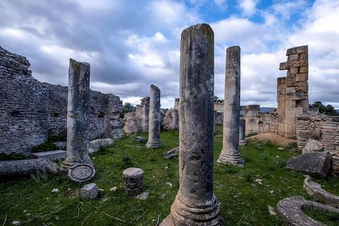 Site archéologique romain et byzantin de Aïn Tounga, anciennement Thignica, se situe à une vingtaine de km de Dougga. il est un des nombreux exemples de grands sites archéologiques en Tunisie qui ne bénéficie d'aucune protection, au milieu d'un village ce site n'est ni cloturé, ni gardé et donc menancé de dégradations et de disparition. 