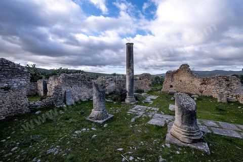Site archéologique romain et byzantin de Aïn Tounga, anciennement Thignica, se situe à une vingtaine de km de Dougga. il est un des nombreux exemples de grands sites archéologiques en Tunisie qui ne bénéficie d'aucune protection, au milieu d'un village ce site n'est ni cloturé, ni gardé et donc menancé de dégradations et de disparition. 