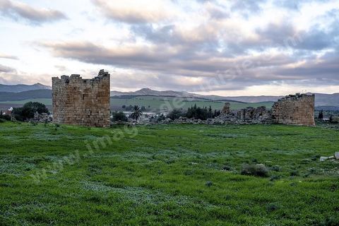 Forteresse byzantine sur le site archéologique romain et byzantin de Aïn Tounga, anciennement Thignica, se situe à une vingtaine de km de Dougga. il est un des nombreux exemples de grands sites archéologiques en Tunisie qui ne bénéficie d'aucune protection, au milieu d'un village ce site n'est ni cloturé, ni gardé et donc menancé de dégradations et de disparition. 