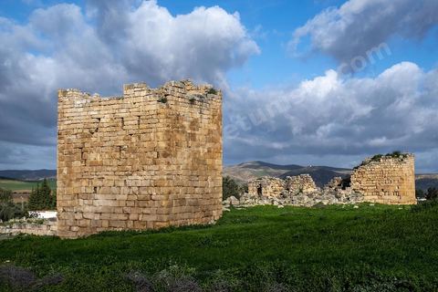 Forteresse byzantine sur le site archéologique romain et byzantin de Aïn Tounga, anciennement Thignica, se situe à une vingtaine de km de Dougga. il est un des nombreux exemples de grands sites archéologiques en Tunisie qui ne bénéficie d'aucune protection, au milieu d'un village ce site n'est ni cloturé, ni gardé et donc menancé de dégradations et de disparition. 
