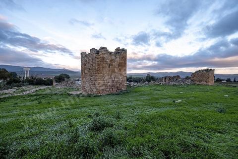 Forteresse byzantine sur le site archéologique romain et byzantin de Aïn Tounga, anciennement Thignica, se situe à une vingtaine de km de Dougga. il est un des nombreux exemples de grands sites archéologiques en Tunisie qui ne bénéficie d'aucune protection, au milieu d'un village ce site n'est ni cloturé, ni gardé et donc menancé de dégradations et de disparition. 