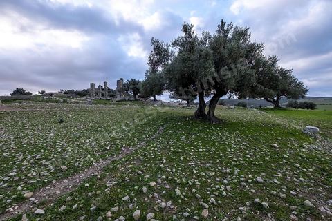 Site archéologique romain et byzantin de Aïn Tounga, anciennement Thignica, se situe à une vingtaine de km de Dougga. il est un des nombreux exemples de grands sites archéologiques en Tunisie qui ne bénéficie d'aucune protection, au milieu d'un village ce site n'est ni cloturé, ni gardé et donc menancé de dégradations et de disparition. 