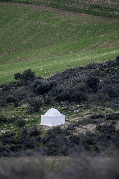 Site archéologique romain et byzantin de Aïn Tounga, anciennement Thignica, se situe à une vingtaine de km de Dougga. il est un des nombreux exemples de grands sites archéologiques en Tunisie qui ne bénéficie d'aucune protection, au milieu d'un village ce site n'est ni cloturé, ni gardé et donc menancé de dégradations et de disparition. 
