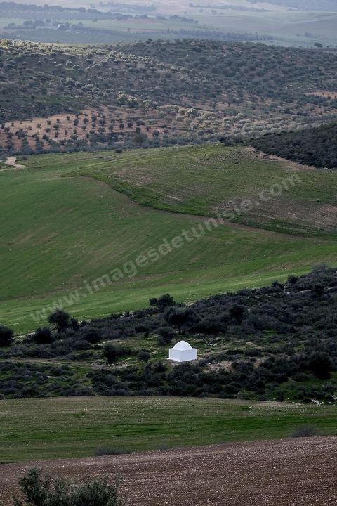 Site archéologique romain et byzantin de Aïn Tounga, anciennement Thignica, se situe à une vingtaine de km de Dougga. il est un des nombreux exemples de grands sites archéologiques en Tunisie qui ne bénéficie d'aucune protection, au milieu d'un village ce site n'est ni cloturé, ni gardé et donc menancé de dégradations et de disparition. 