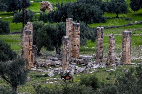 Site archéologique romain et byzantin de Aïn Tounga, anciennement Thignica, se situe à une vingtaine de km de Dougga. il est un des nombreux exemples de grands sites archéologiques en Tunisie qui ne bénéficie d'aucune protection, au milieu d'un village ce site n'est ni cloturé, ni gardé et donc menancé de dégradations et de disparition. 