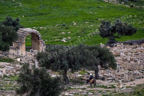 Site archéologique romain et byzantin de Aïn Tounga, anciennement Thignica, se situe à une vingtaine de km de Dougga. il est un des nombreux exemples de grands sites archéologiques en Tunisie qui ne bénéficie d'aucune protection, au milieu d'un village ce site n'est ni cloturé, ni gardé et donc menancé de dégradations et de disparition. 