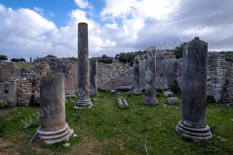 Site archéologique romain et byzantin de Aïn Tounga, anciennement Thignica, se situe à une vingtaine de km de Dougga. il est un des nombreux exemples de grands sites archéologiques en Tunisie qui ne bénéficie d'aucune protection, au milieu d'un village ce site n'est ni cloturé, ni gardé et donc menancé de dégradations et de disparition. 