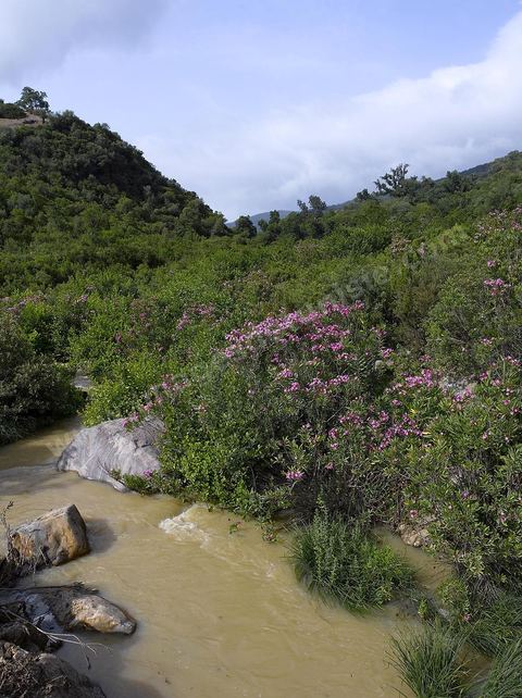Beni M'Tir en Kroumirie