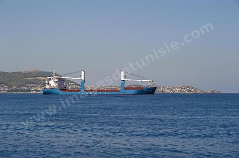 Cargo porte conteneurs au large de Bizerte