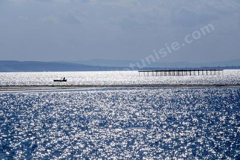 Lac de Bizerte