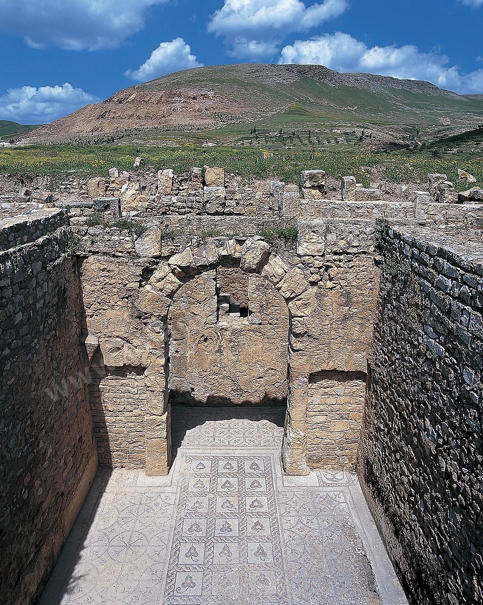 B09-009