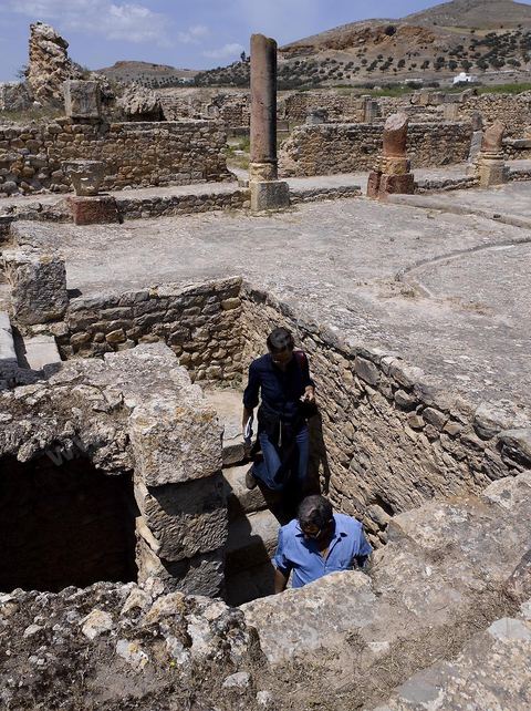 quartier d'habitations et villas souterraines romaines Site archéologique de Bulla Regia 