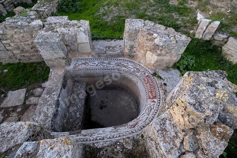 Cuve baptismale sur le site archéologique romain de Bulla Régia, dans le nord ouest de la Tunisie.