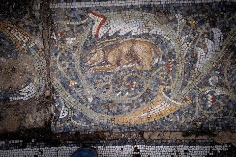 Détails de mosaïques représentant des scènes de chasse dasn la  Maison de la Chasse dans le quartier d'habitations sur le site archéologique romain de Bulla Régia, dans le nord ouest de la Tunisie.