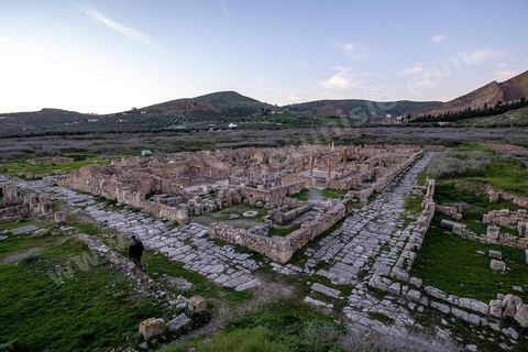 le quartier d'habitations sur le site archéologique romain de Bulla Régia, dans le nord ouest de la Tunisie.
