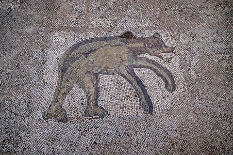 Théâtre sur le site archéologique romain de Bulla Régia, dans le nord ouest de la Tunisie.