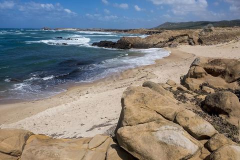 Après le cap Ras Angela, une fois engagèe sur cette piste qui longe la mer, c'est une succession sur près de 10 km de criques rocheuses surplombant la mer et protégeant des plages de sables blanc : Cap Sloumka, Cap Hmem, Cap Sidi Bechir, ... sont les quelques lieux à décourvrir pour sa nature, sa beauté, sa fraîcheur estivale et ses immenses plages de sables fins.