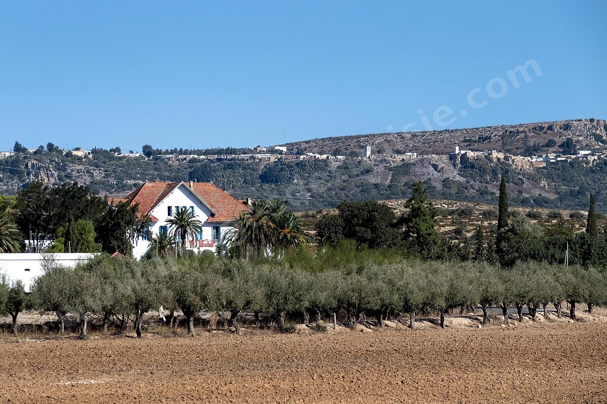 Chaouach