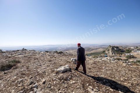 Avec Mustapha el Chaouachi, éléeveur et paysan, sur les hauteurs de Chaouach. Le village de Chaouach sur les hauteurs de Medjez El Bab. 