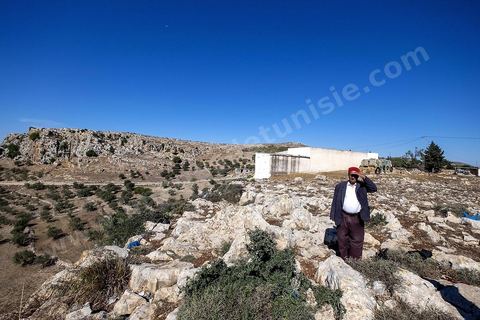 Avec Mustapha el Chaouachi, éléeveur et paysan, sur les hauteurs de Chaouach. Le village de Chaouach sur les hauteurs de Medjez El Bab. 