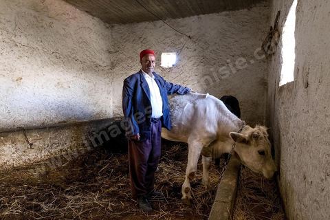 Avec Mustapha el Chaouachi, éléeveur et paysan, sur les hauteurs de Chaouach. Le village de Chaouach sur les hauteurs de Medjez El Bab. 