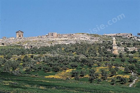 Vue generale du site de Dougga