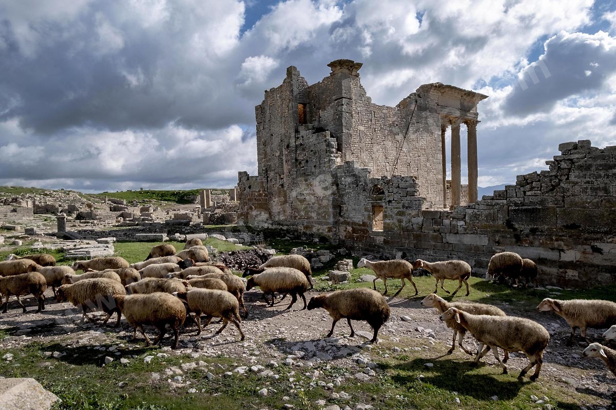 Dougga_04