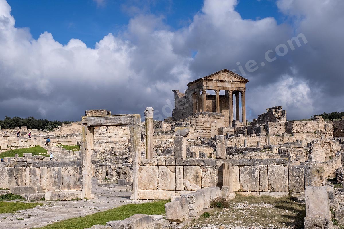XPR22494