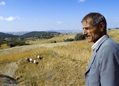 Homme gardant ses moutons dans la campgane près de Fernana berger et ses moutons