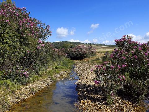 Rivière dans la région de Fernana