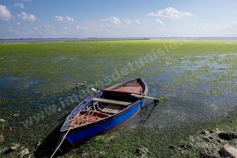 Port andalou de Ghar El Melh au centre ville. Un bassin encadré de trois jetées, un arsenal jouxtait le port, partiellmement en ruines, il ne reste aujourd'hui que quelques magasins couverts de voutes. Port de pêche ouvrant sur la mer et le lac.