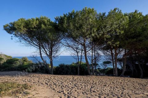 la plage de Sidi el Mekki célèbre pour sa situation entre la colline et son très beau sable blanc. la plage longe le cap du même nom. 