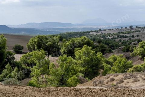 Hammam Mellègue se trouve à une quinzaine de km à l’Ouest du Kef. Les eaux thermales de Hammam Mellègue, étaient utilisées par les Romains comme en témoignent les vestiges des anciens thermes avec leurs bassins assez bien conservés et qui sont encore utilisés par les curistes. El Bekri, au XIème siècle, dans sa « Description de l’Afrique septentrionale » évoque l’Oued Mellègue comme une grande rivière « auprès de laquelle sont des ruines antiques ». Cette station thermale est presque intacte et elle a  été restaurée par les soins de l’INAA dans les années 1967/68/69.Les eaux thermales alimentent des bassins romains utilisés comme un Hammam traditionnel. Ce hammam est très fréquenté. En dehors des indications thérapeutiques classiques des eaux chaudes chlorurées sodiques, c’est à dire celles en pathologie ostéo-articulaire, une indication serait à envisager, vu l’hypertonicité de l’eau, celle du traitement de l’obésité.