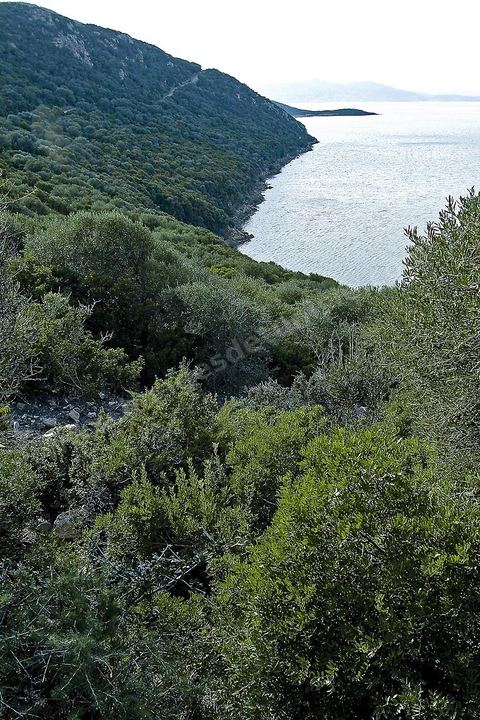 Parc naturel du lac Ichkeul