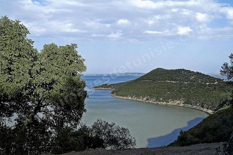 Parc naturel du lac Ichkeul