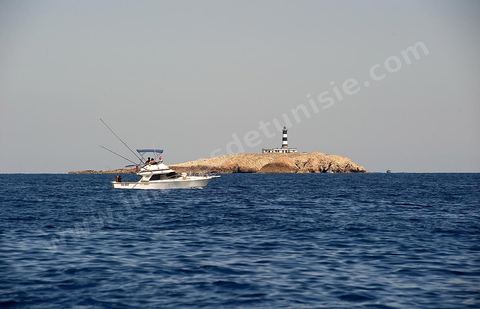 La grande et la petite Cani, deux îlots assez plats, sont situées à cinq milles au nord du Cap Zebib et de Bizerte. La Grande ile est surmontée d'un très beau phare de 18 mètres de haut construit vers 1860 et sera le deuxième phare de Tunisie après celui de Sidi Bou Saïd. Aujourd'hui c'est un haut lieu d'excursion pour les plaisanciers et les plongeurs qui viennent découvrir un relief et une nature sous-marines eriches et à faible profondeur ainsi que les petites grottes que constituent l'île.
