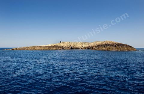 La grande et la petite Cani, deux îlots assez plats, sont situées à cinq milles au nord du Cap Zebib et de Bizerte. La Grande ile est surmontée d'un très beau phare de 18 mètres de haut construit vers 1860 et sera le deuxième phare de Tunisie après celui de Sidi Bou Saïd. Aujourd'hui c'est un haut lieu d'excursion pour les plaisanciers et les plongeurs qui viennent découvrir un relief et une nature sous-marines eriches et à faible profondeur ainsi que les petites grottes que constituent l'île.
