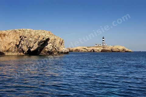 La grande et la petite Cani, deux îlots assez plats, sont situées à cinq milles au nord du Cap Zebib et de Bizerte. La Grande ile est surmontée d'un très beau phare de 18 mètres de haut construit vers 1860 et sera le deuxième phare de Tunisie après celui de Sidi Bou Saïd. Aujourd'hui c'est un haut lieu d'excursion pour les plaisanciers et les plongeurs qui viennent découvrir un relief et une nature sous-marines eriches et à faible profondeur ainsi que les petites grottes que constituent l'île.