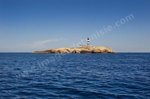 La grande et la petite Cani, deux îlots assez plats, sont situées à cinq milles au nord du Cap Zebib et de Bizerte. La Grande ile est surmontée d'un très beau phare de 18 mètres de haut construit vers 1860 et sera le deuxième phare de Tunisie après celui de Sidi Bou Saïd. Aujourd'hui c'est un haut lieu d'excursion pour les plaisanciers et les plongeurs qui viennent découvrir un relief et une nature sous-marines eriches et à faible profondeur ainsi que les petites grottes que constituent l'île.