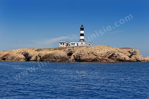 La grande et la petite Cani, deux îlots assez plats, sont situées à cinq milles au nord du Cap Zebib et de Bizerte. La Grande ile est surmontée d'un très beau phare de 18 mètres de haut construit vers 1860 et sera le deuxième phare de Tunisie après celui de Sidi Bou Saïd. Aujourd'hui c'est un haut lieu d'excursion pour les plaisanciers et les plongeurs qui viennent découvrir un relief et une nature sous-marines eriches et à faible profondeur ainsi que les petites grottes que constituent l'île.