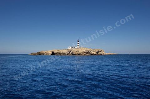 La grande et la petite Cani, deux îlots assez plats, sont situées à cinq milles au nord du Cap Zebib et de Bizerte. La Grande ile est surmontée d'un très beau phare de 18 mètres de haut construit vers 1860 et sera le deuxième phare de Tunisie après celui de Sidi Bou Saïd. Aujourd'hui c'est un haut lieu d'excursion pour les plaisanciers et les plongeurs qui viennent découvrir un relief et une nature sous-marines eriches et à faible profondeur ainsi que les petites grottes que constituent l'île.