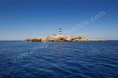 La grande et la petite Cani, deux îlots assez plats, sont situées à cinq milles au nord du Cap Zebib et de Bizerte. La Grande ile est surmontée d'un très beau phare de 18 mètres de haut construit vers 1860 et sera le deuxième phare de Tunisie après celui de Sidi Bou Saïd. Aujourd'hui c'est un haut lieu d'excursion pour les plaisanciers et les plongeurs qui viennent découvrir un relief et une nature sous-marines eriches et à faible profondeur ainsi que les petites grottes que constituent l'île.