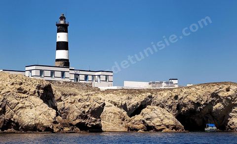 La grande et la petite Cani, deux îlots assez plats, sont situées à cinq milles au nord du Cap Zebib et de Bizerte. La Grande ile est surmontée d'un très beau phare de 18 mètres de haut construit vers 1860 et sera le deuxième phare de Tunisie après celui de Sidi Bou Saïd. Aujourd'hui c'est un haut lieu d'excursion pour les plaisanciers et les plongeurs qui viennent découvrir un relief et une nature sous-marines eriches et à faible profondeur ainsi que les petites grottes que constituent l'île.