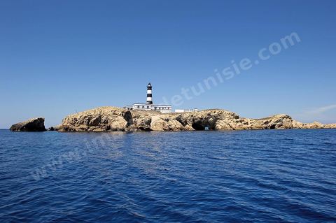La grande et la petite Cani, deux îlots assez plats, sont situées à cinq milles au nord du Cap Zebib et de Bizerte. La Grande ile est surmontée d'un très beau phare de 18 mètres de haut construit vers 1860 et sera le deuxième phare de Tunisie après celui de Sidi Bou Saïd. Aujourd'hui c'est un haut lieu d'excursion pour les plaisanciers et les plongeurs qui viennent découvrir un relief et une nature sous-marines eriches et à faible profondeur ainsi que les petites grottes que constituent l'île.